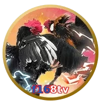 f168tv